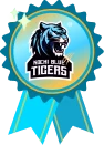 kochi blue tigers achievements