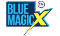 kochi blue tigers